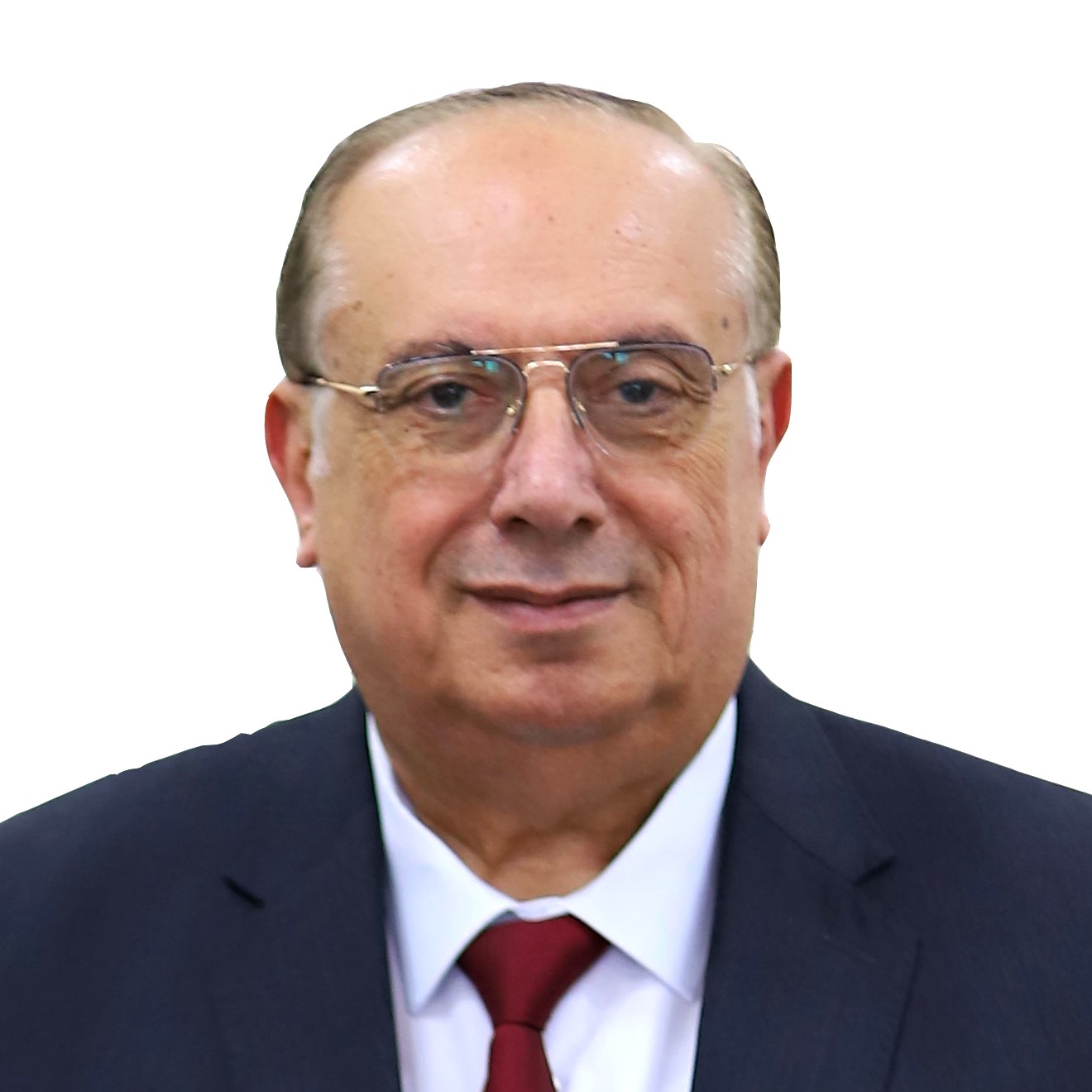 أ.د.محمود أبو مويس